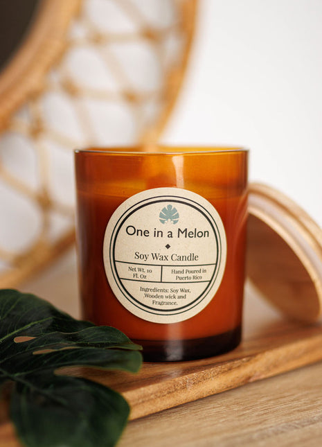 One in a Melon | Soy Wax Candle