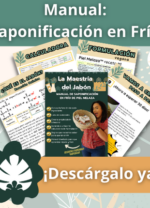 La Maestría del Jabón: Manual DESCARGA DIGITAL