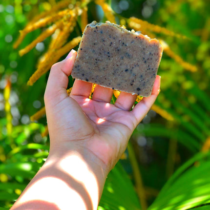 [2023 DISCONTINUED] Kelp + Grapefruit - Natural Sensitive and Oily Skin Soap Bar