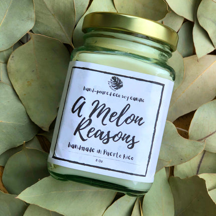 A Melon Reasons  - 100% Natural Soy Candle