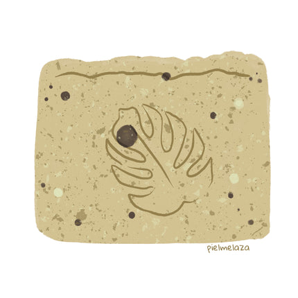 [2023 DISCONTINUED] Kelp + Grapefruit - Natural Sensitive and Oily Skin Soap Bar